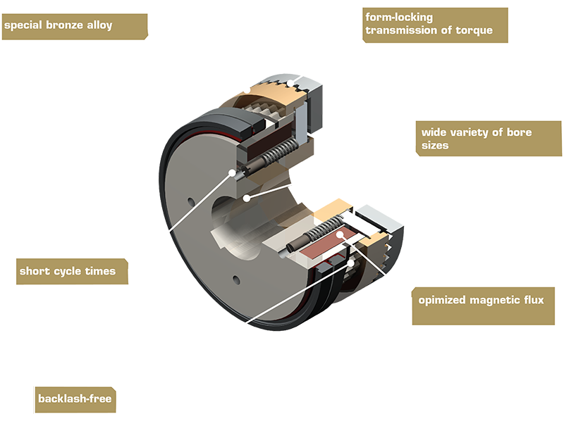 Immagine 3D dettagliata del giunto a denti a molla tipo 548 con denti e meccanismo a molla visibili