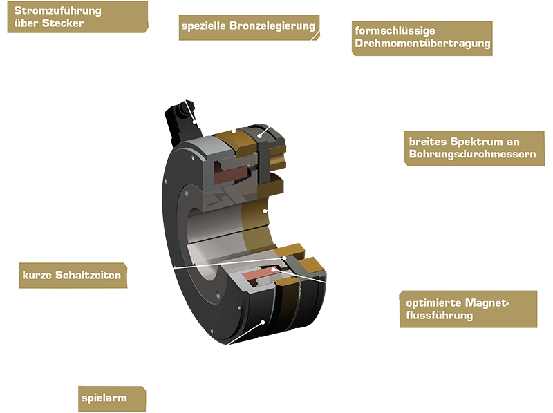 Computergeneriertes Bild der Kupplung Typ 543 mit Fokus auf Schaltmechanismus und Verzahnung.