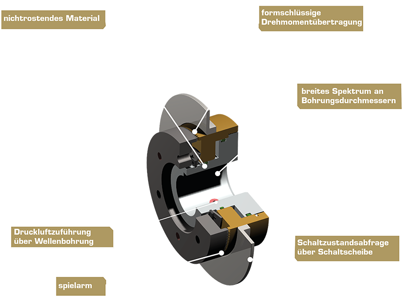 Vista in sezione 3D del giunto pneumatico a denti tipo 677 con dentatura interna, meccanismo a pistone, struttura dell’alloggiamento e caratteristiche tecniche evidenziate
