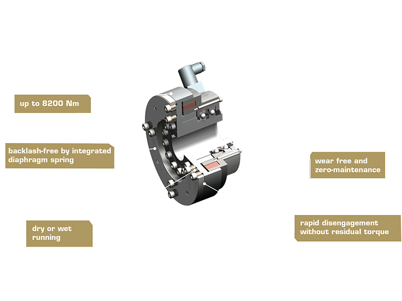 Compacte 3D-weergave van de gedeeltelijke doorsnede van een poolwrijvingkoppeling type 450.