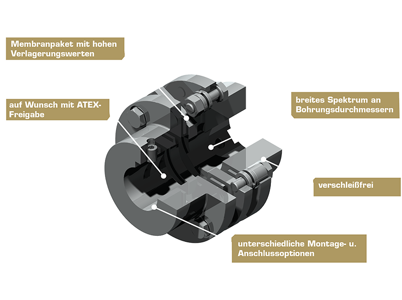 3D-Rendering mit Teilquerschnitt der ServoFlex Wellenkupplung Typ 318, zeigt die elastische Federstruktur für spielfreie Drehmomentübertragung.