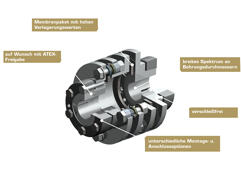 3D-Rendering im Teilquerschnitt der ServoFlex Wellenkupplung Typ 338 mit sichtbar integrierter Streifenfeder zur spielfreien Drehmomentübertragung.