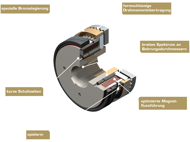 Vue en coupe 3D de l’accouplement commandable type 548