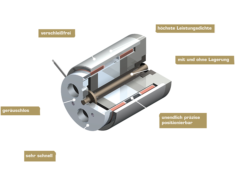 Realistische 3D-Visualisierung des Tauchspulenreaktors Typ 820 mit sichtbaren Spulenwicklungen und Gehäusedetails.