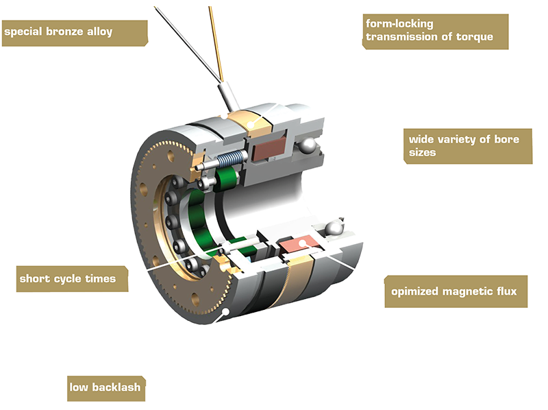 3D-doorsnede van tandkoppeling type 556 met zichtbare interne vertanding, magnetische spoel en behuizingsonderdelen