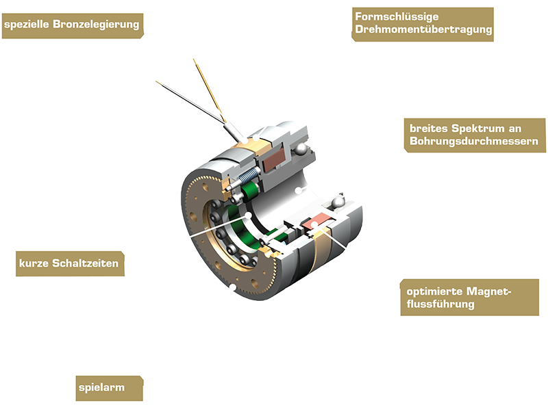 3D-Schnittdarstellung einer elektromagnetischen Zahnkupplung Typ 556 mit erkennbarer Innenverzahnung, Spuleneinheit und Gehäuseaufbau