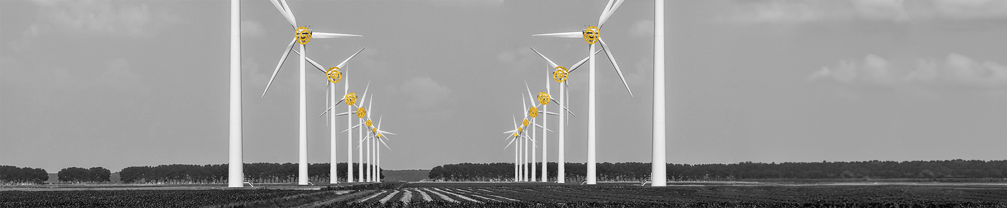 Multiple wind turbines with clutches integrated into the drive systems for torque transmission and load separation